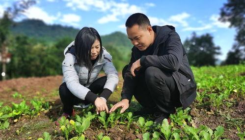 草坝镇吃瓜事件真相视频,揭秘真相背后的惊人内幕