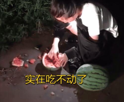 偷瓜吃的视频大全,视频大全里的欢乐瞬间